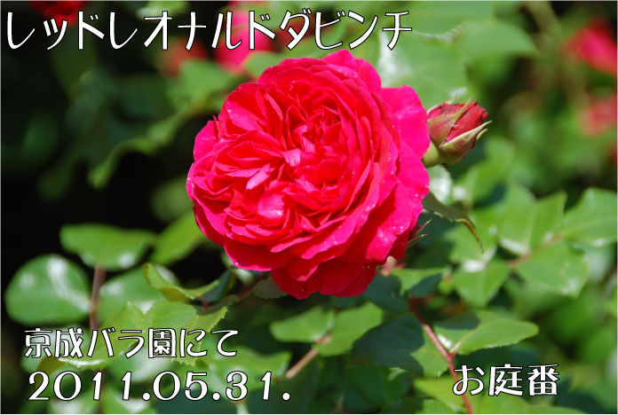 f:id:rotling:20110604005026j:image