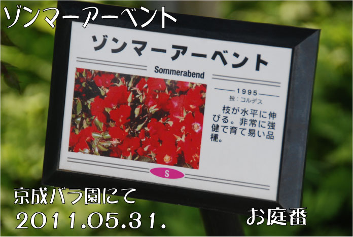 f:id:rotling:20110608072128j:image