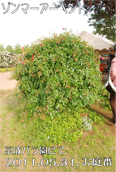 f:id:rotling:20110608072129j:image