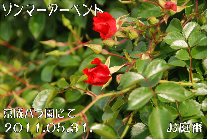 f:id:rotling:20110608072130j:image