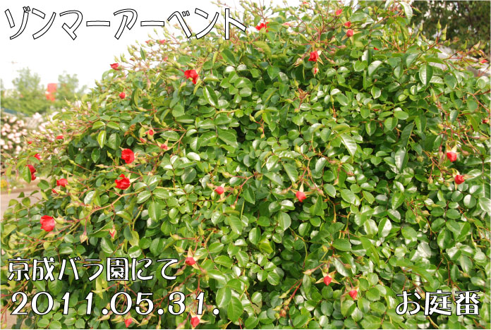 f:id:rotling:20110608072131j:image