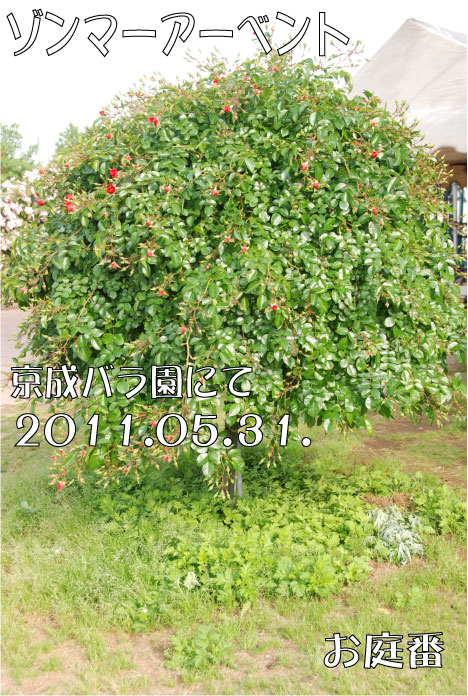 f:id:rotling:20110608072132j:image