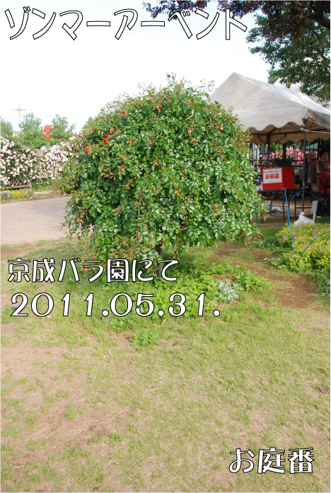 f:id:rotling:20110608072133j:image