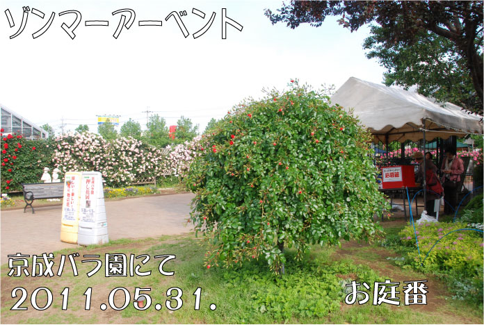 f:id:rotling:20110608072134j:image