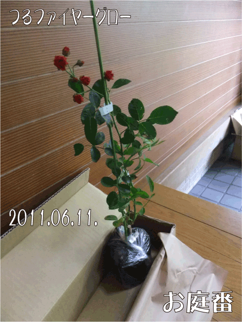 f:id:rotling:20110611172550j:image