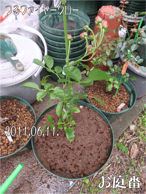 f:id:rotling:20110611172551j:image