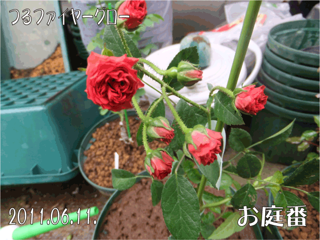 f:id:rotling:20110611172552j:image