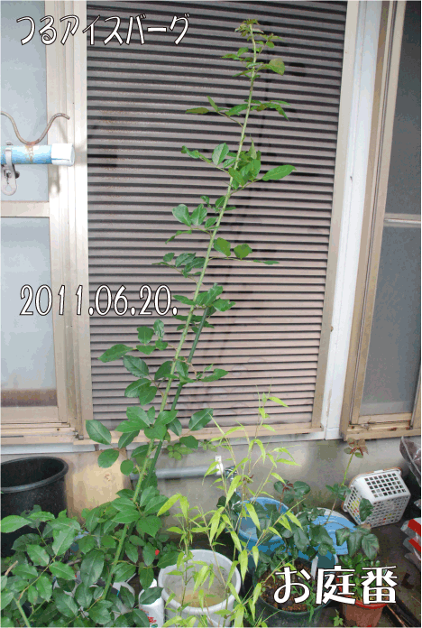 f:id:rotling:20110620101757g:image