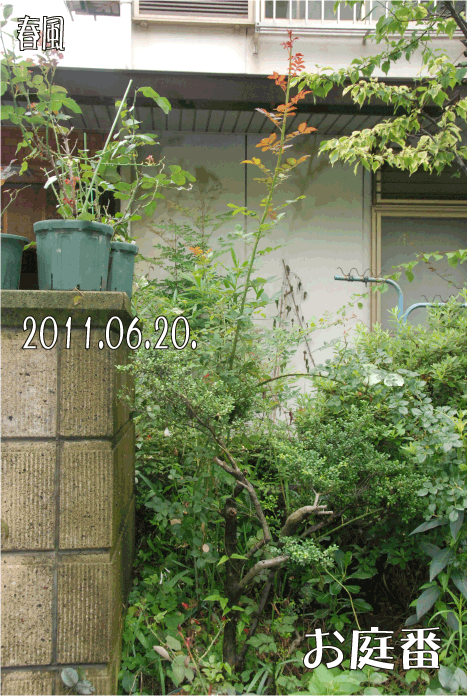 f:id:rotling:20110620101758g:image