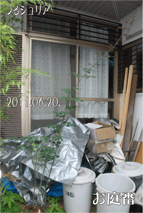 f:id:rotling:20110620101759g:image