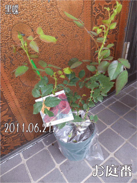 f:id:rotling:20110622113001g:image