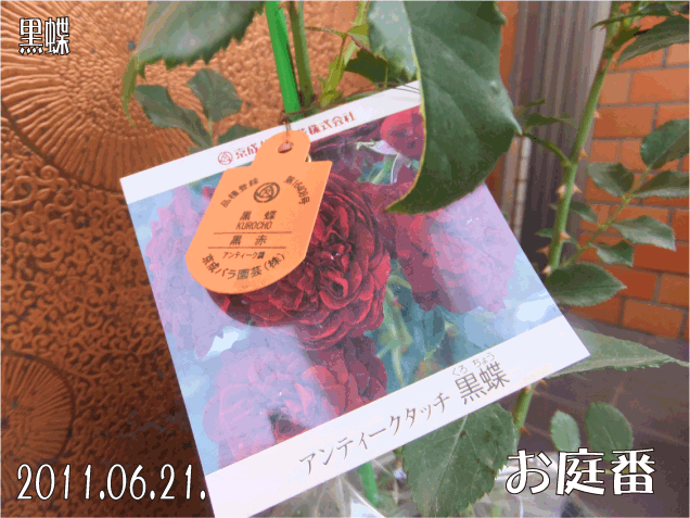 f:id:rotling:20110622113002g:image