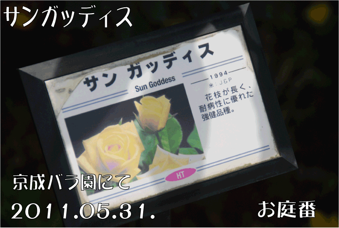 f:id:rotling:20110623145859g:image