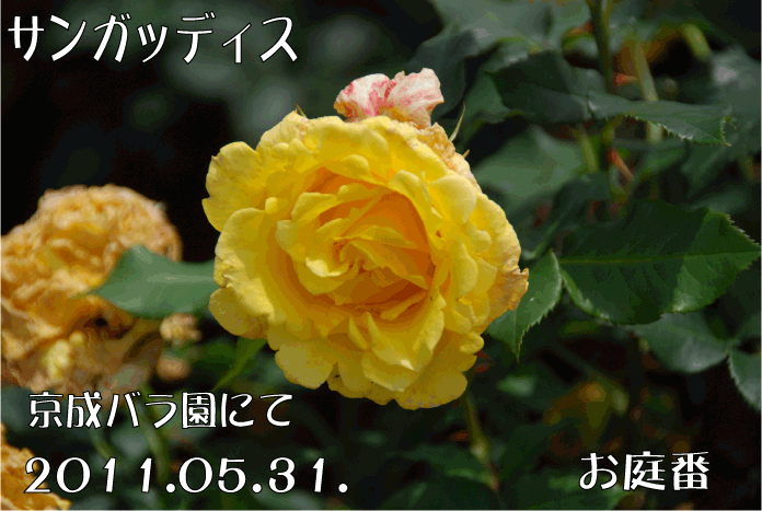f:id:rotling:20110623145900g:image