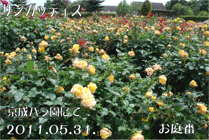 f:id:rotling:20110623145901g:image