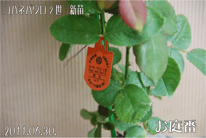 f:id:rotling:20110630150220g:image
