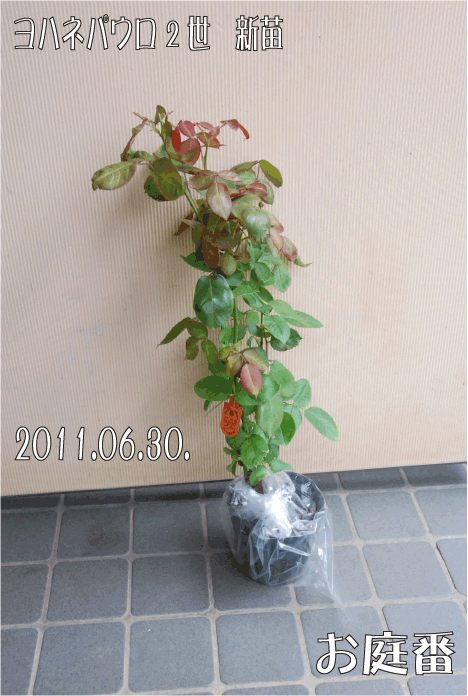 f:id:rotling:20110630150221g:image