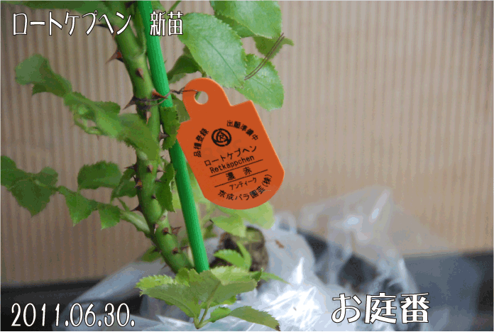 f:id:rotling:20110630150222g:image