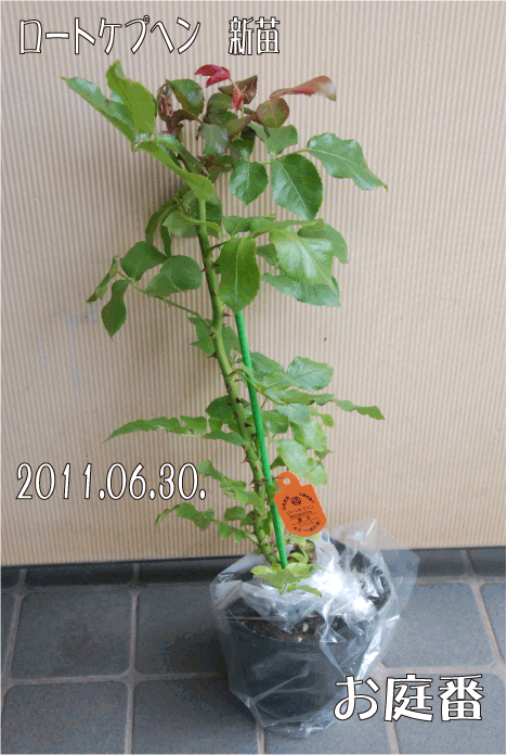 f:id:rotling:20110630150223g:image