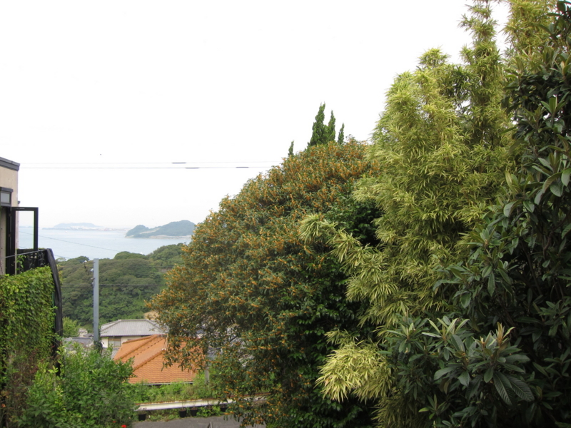 f:id:rotling:20111001111229j:image
