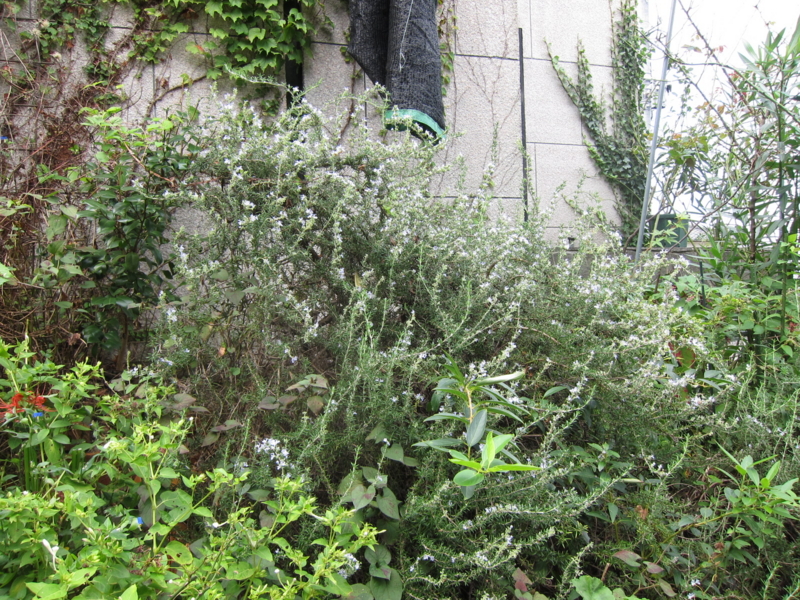 f:id:rotling:20111001111738j:image