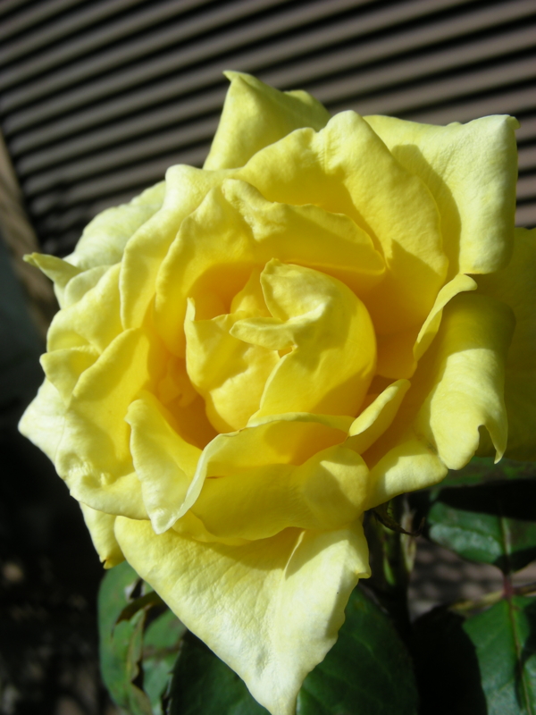 f:id:rotling:20111003140811j:image