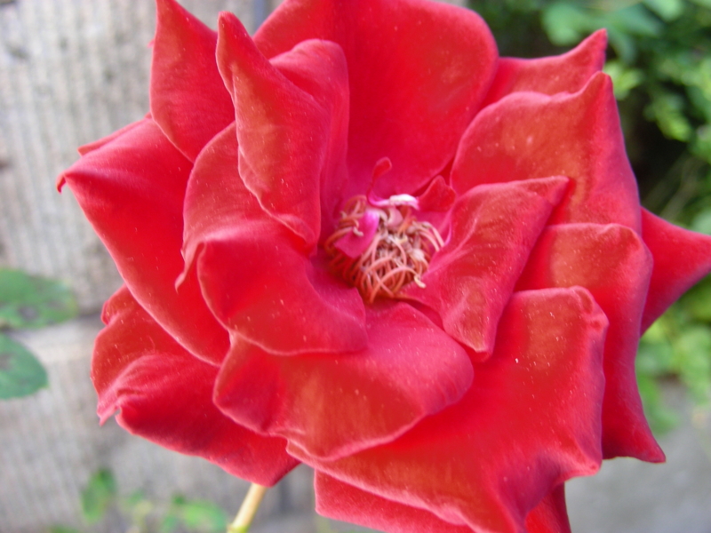 f:id:rotling:20111004163355j:image
