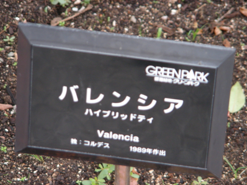 f:id:rotling:20111017114037j:image