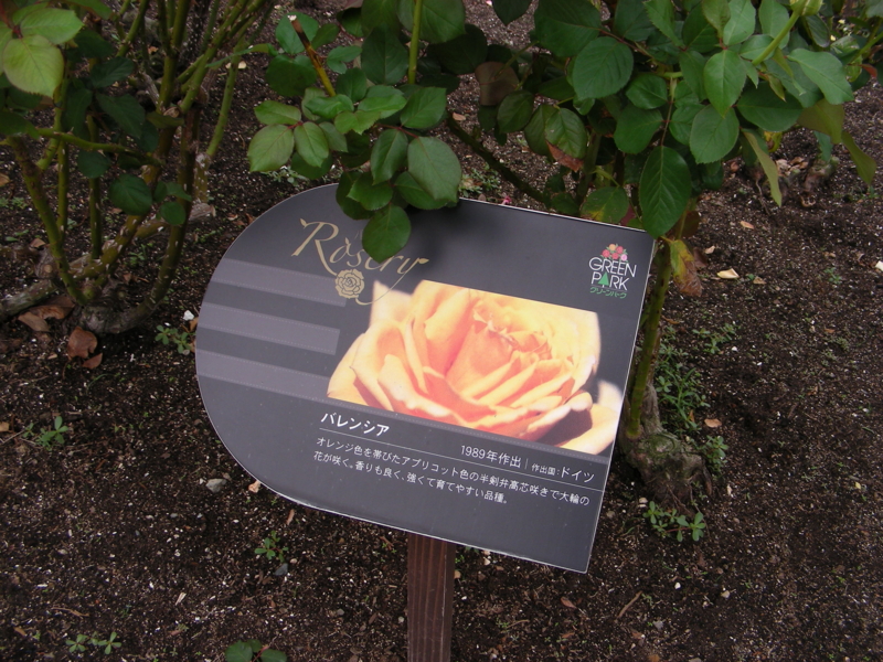 f:id:rotling:20111017114049j:image