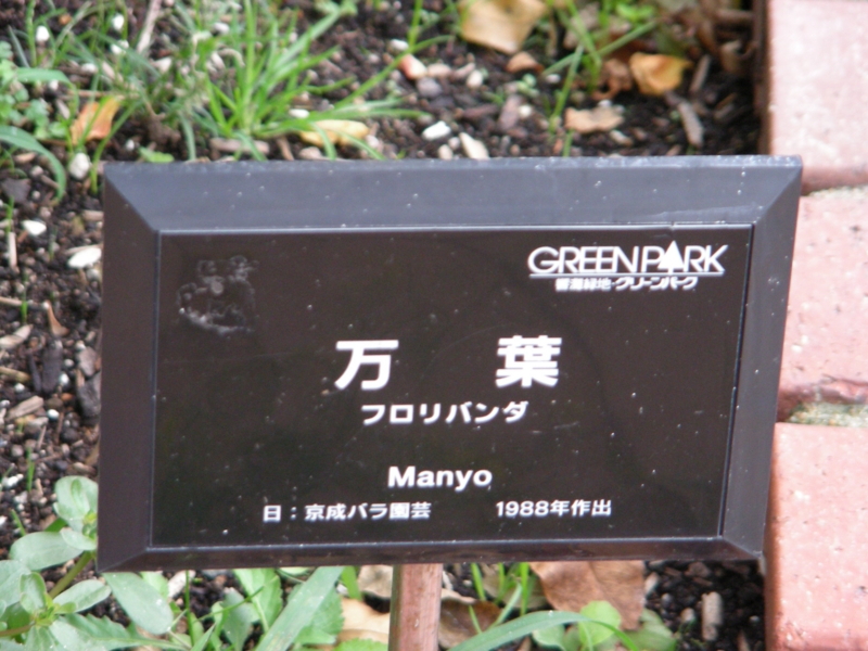 f:id:rotling:20111017114912j:image