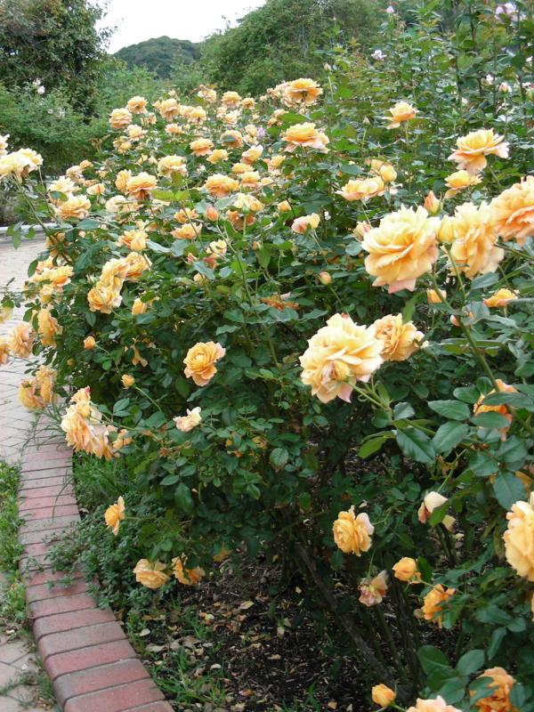 f:id:rotling:20111017114922j:image