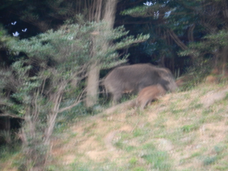 f:id:rotling:20111018173615j:image