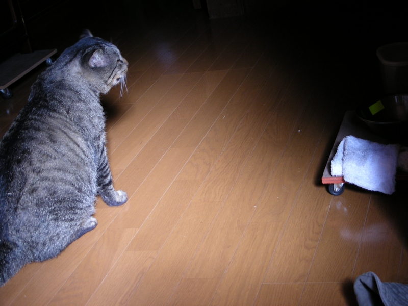 f:id:rotling:20111019145553j:image