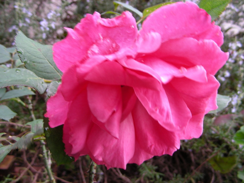 f:id:rotling:20111022133927j:image