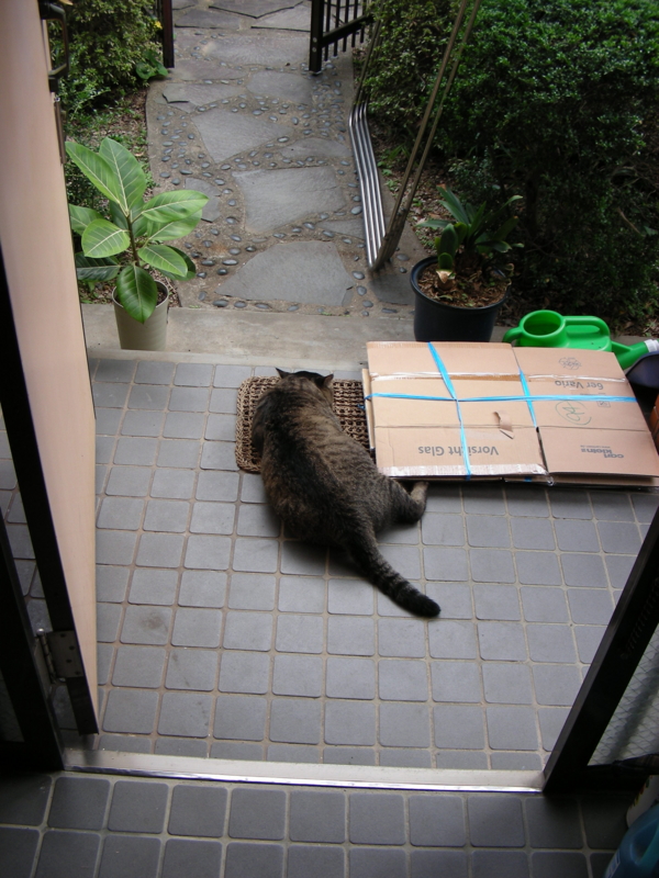 f:id:rotling:20111024143516j:image