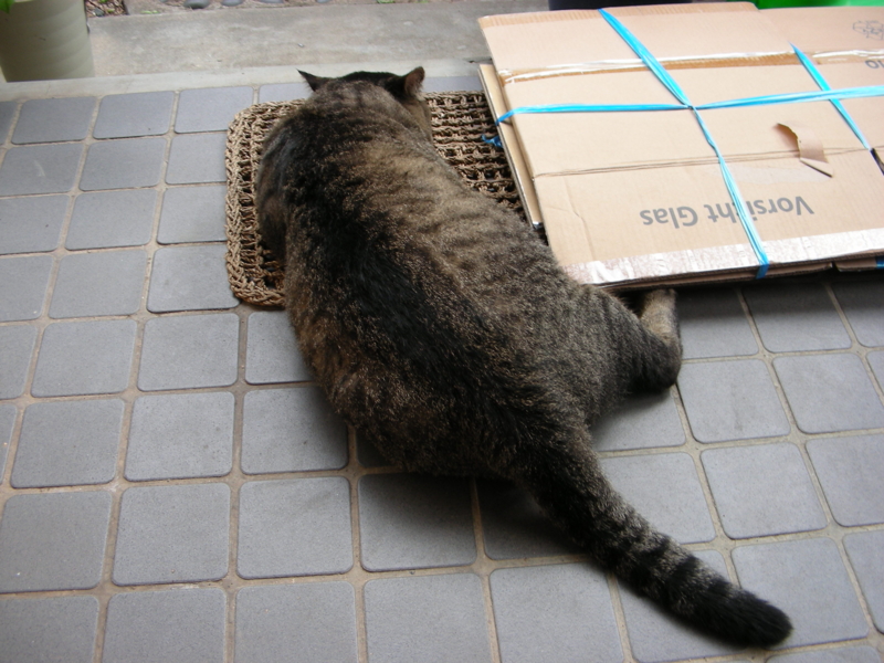 f:id:rotling:20111024143521j:image