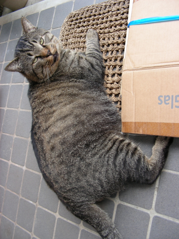 f:id:rotling:20111024143538j:image