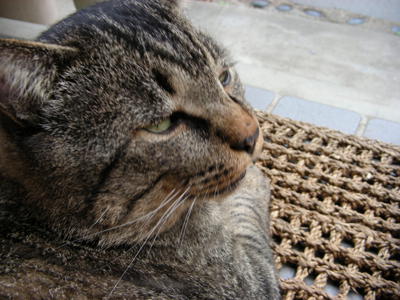 f:id:rotling:20111024143546j:image