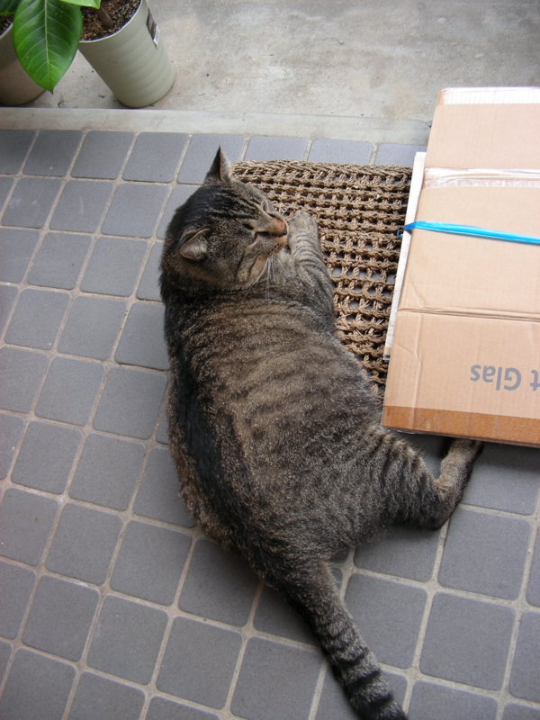 f:id:rotling:20111024143550j:image