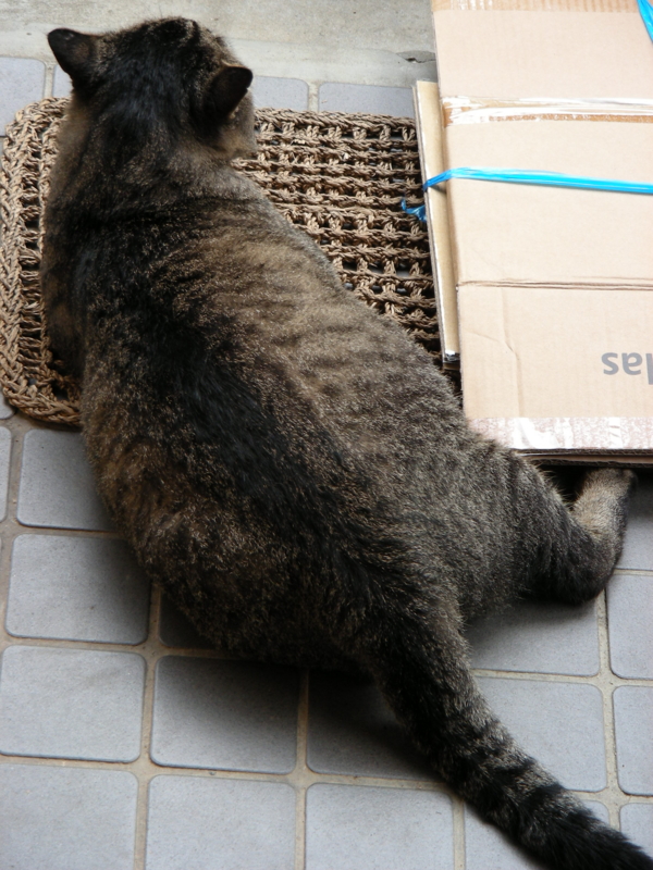 f:id:rotling:20111024143605j:image