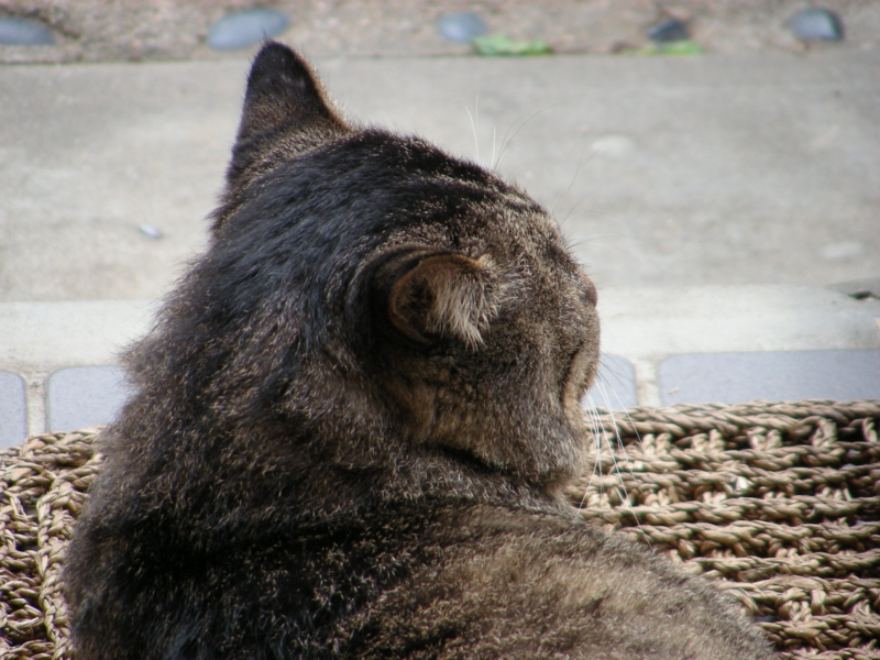 f:id:rotling:20111024143614j:image