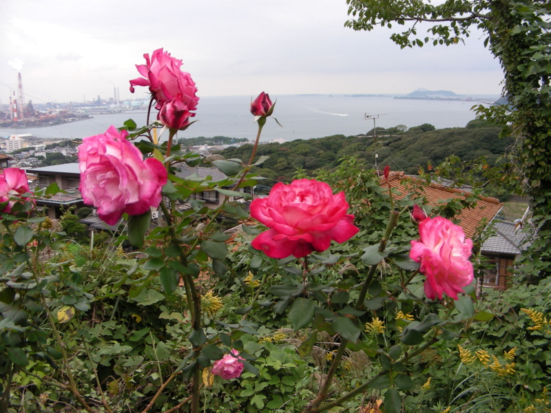 f:id:rotling:20111108131224j:image