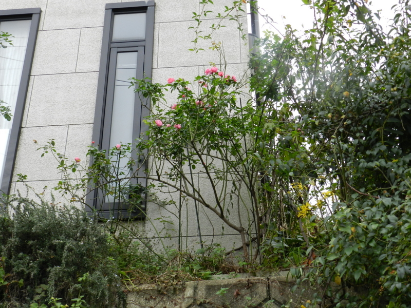 f:id:rotling:20111113101841j:image