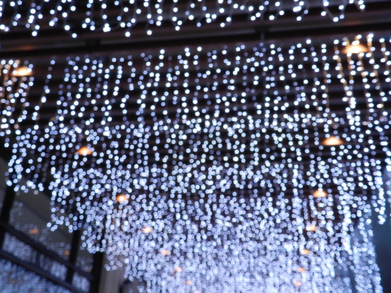 f:id:rotling:20111119225436j:image