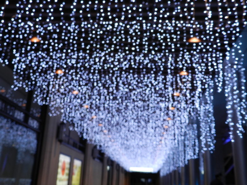 f:id:rotling:20111119225441j:image