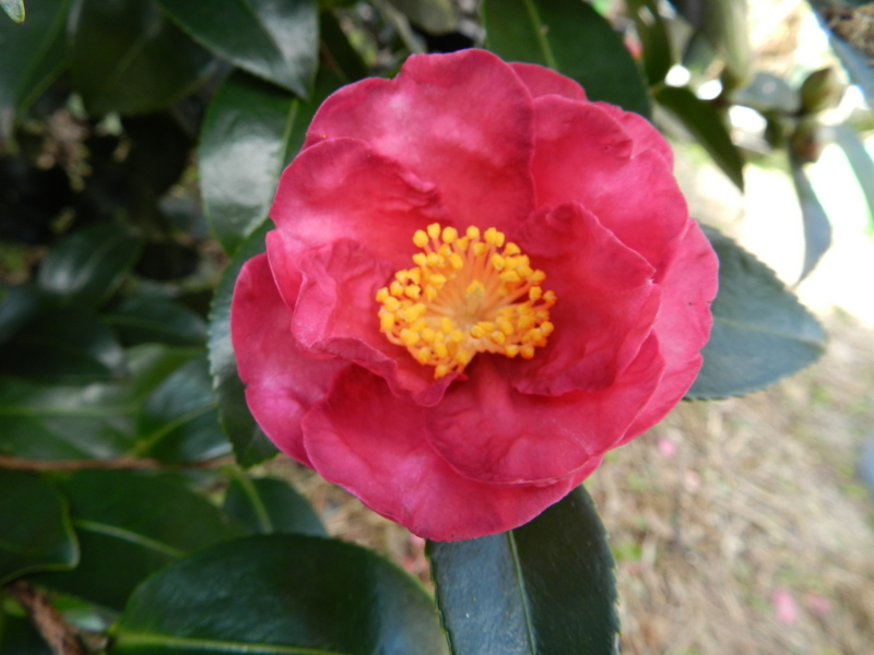 f:id:rotling:20111124122610j:image