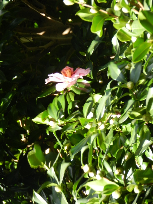 f:id:rotling:20111124122727j:image