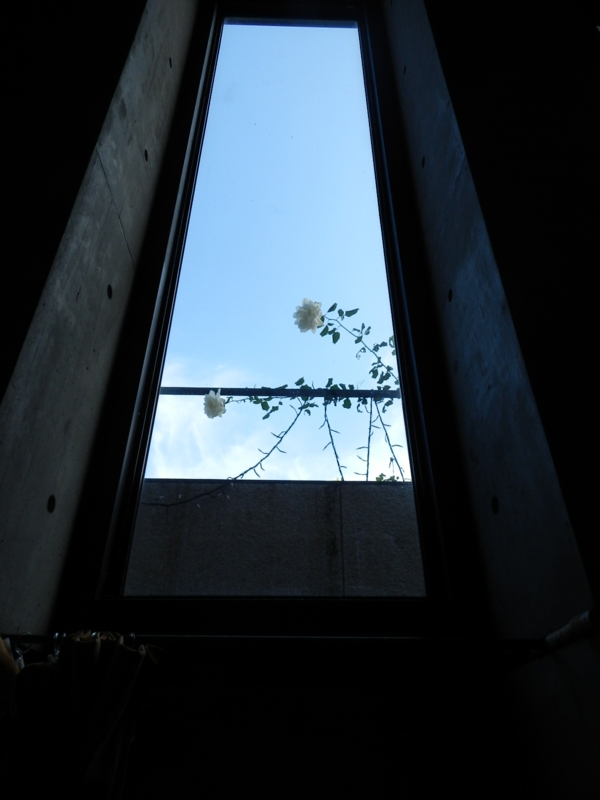 f:id:rotling:20111129111303j:image
