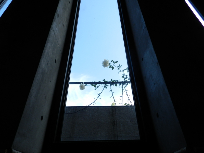 f:id:rotling:20111129111305j:image