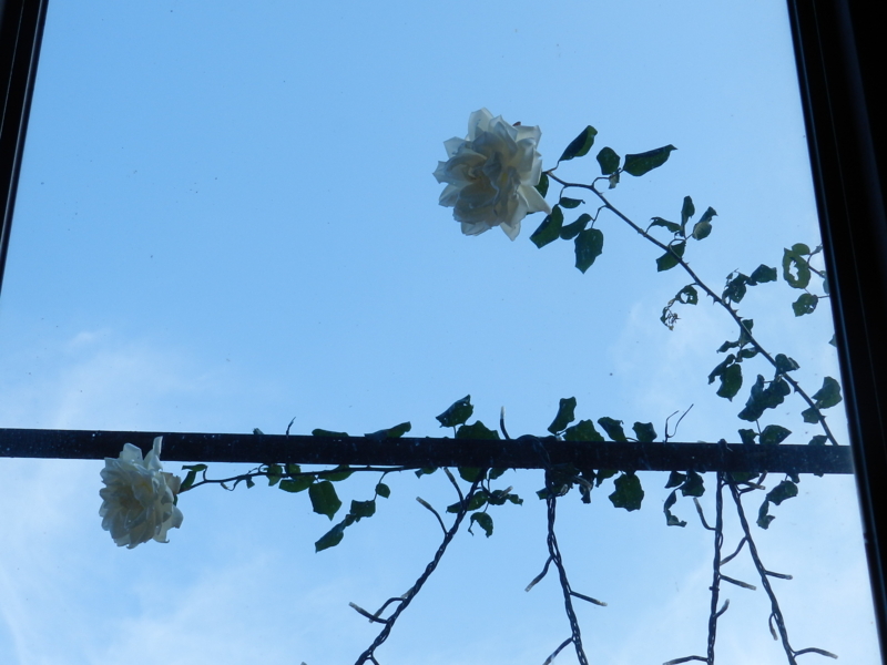 f:id:rotling:20111129111312j:image